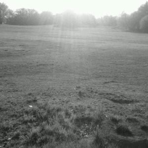 Meet your Posher, Paul